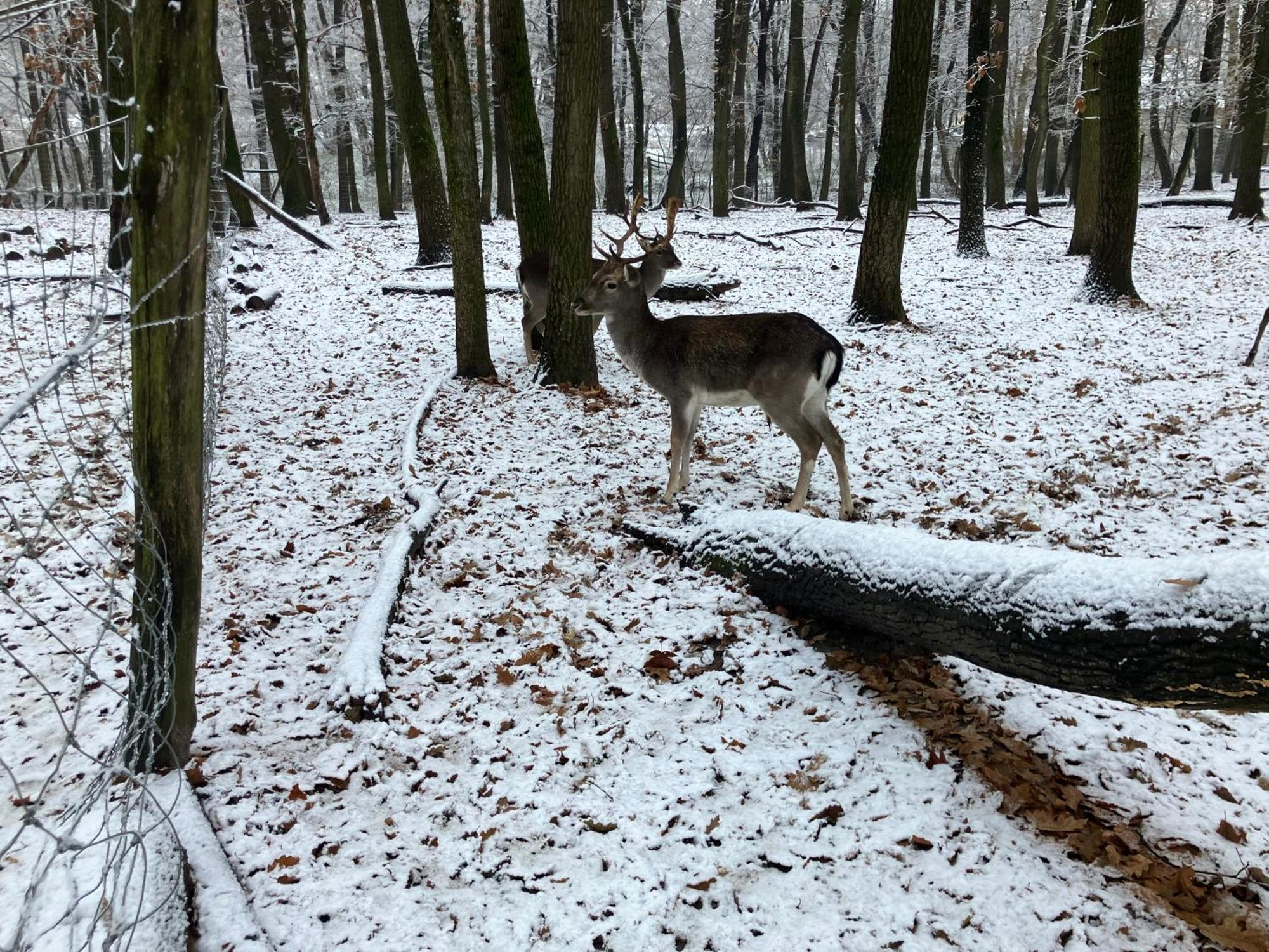 Granas Paradise Gant Kültér fotó